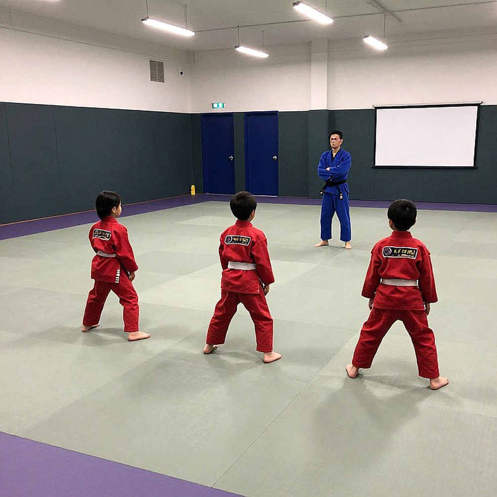 GPS Never Lies: When Data Exposes Myths in the Vietnamese Martial Arts Arena