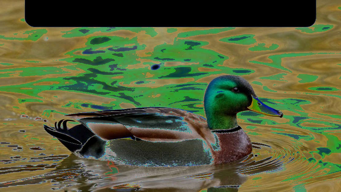 Khi dữ liệu trống, nhà báo thể thao nên nói gì? Khi dữ liệu trống, nhà báo thể thao nên nói gì?